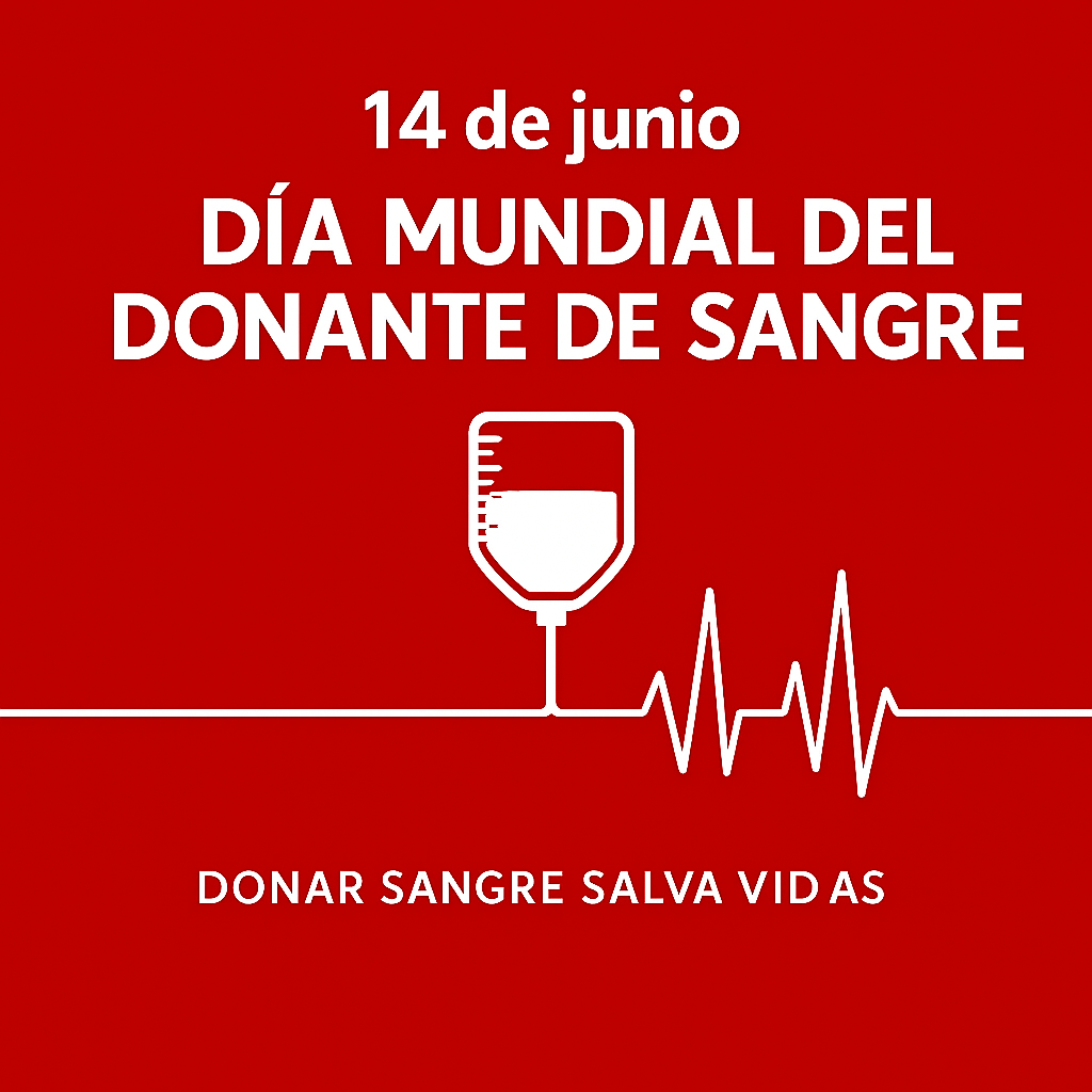 Adjunto ChatGPT Image 12 jun 2025, 08_01_25.png